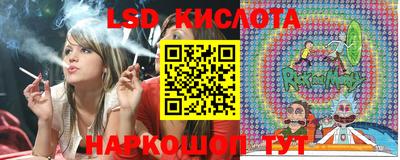 прущие грибы Абакан