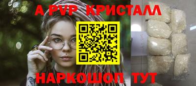 прущие грибы Абакан