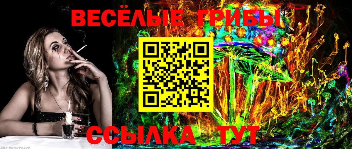 закладки  Галлюциногенные грибы мухоморы  Алушта  Псилоцибиновые грибы Psilocybine cubensis 